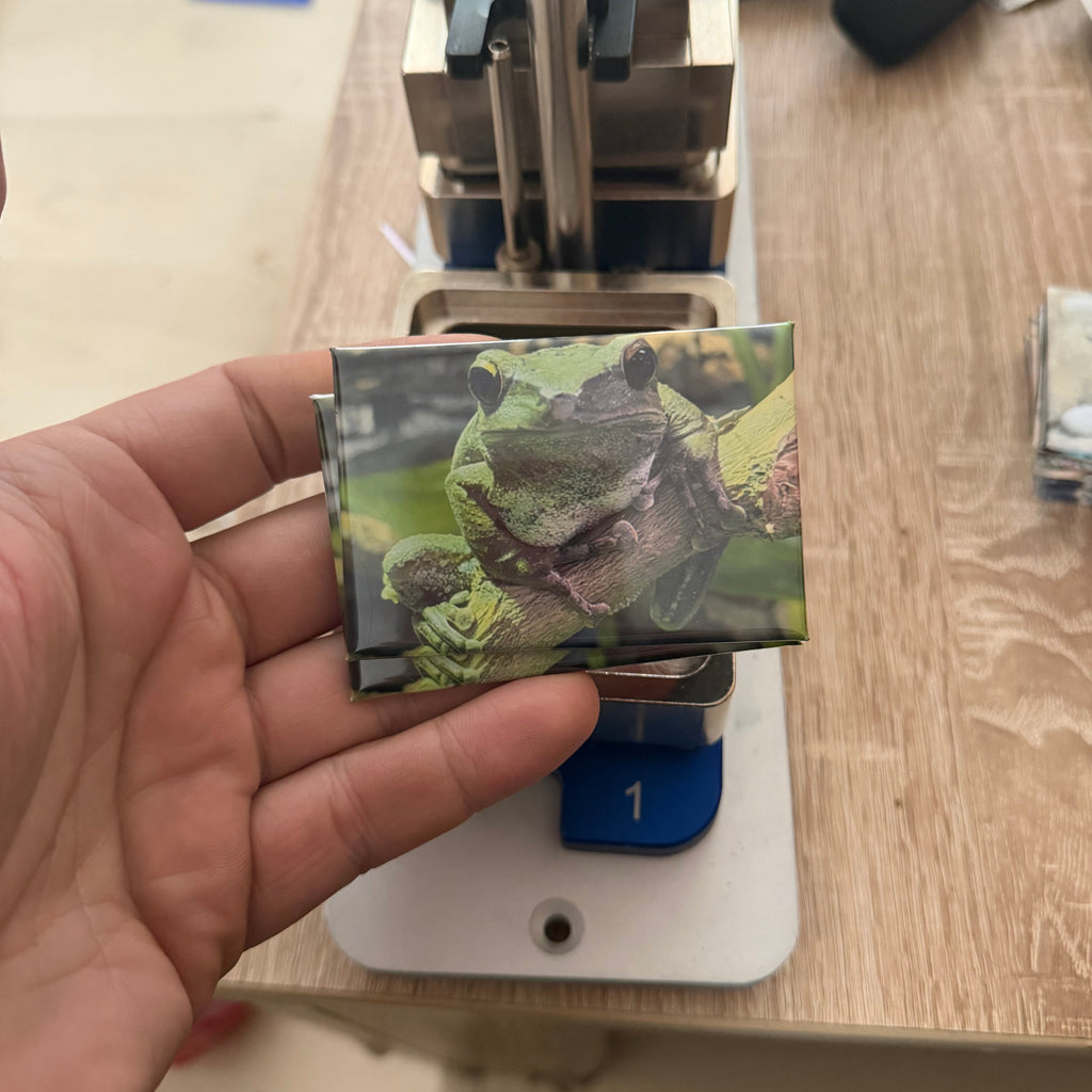 ‘Brown Treefrog’ magnet Preview 