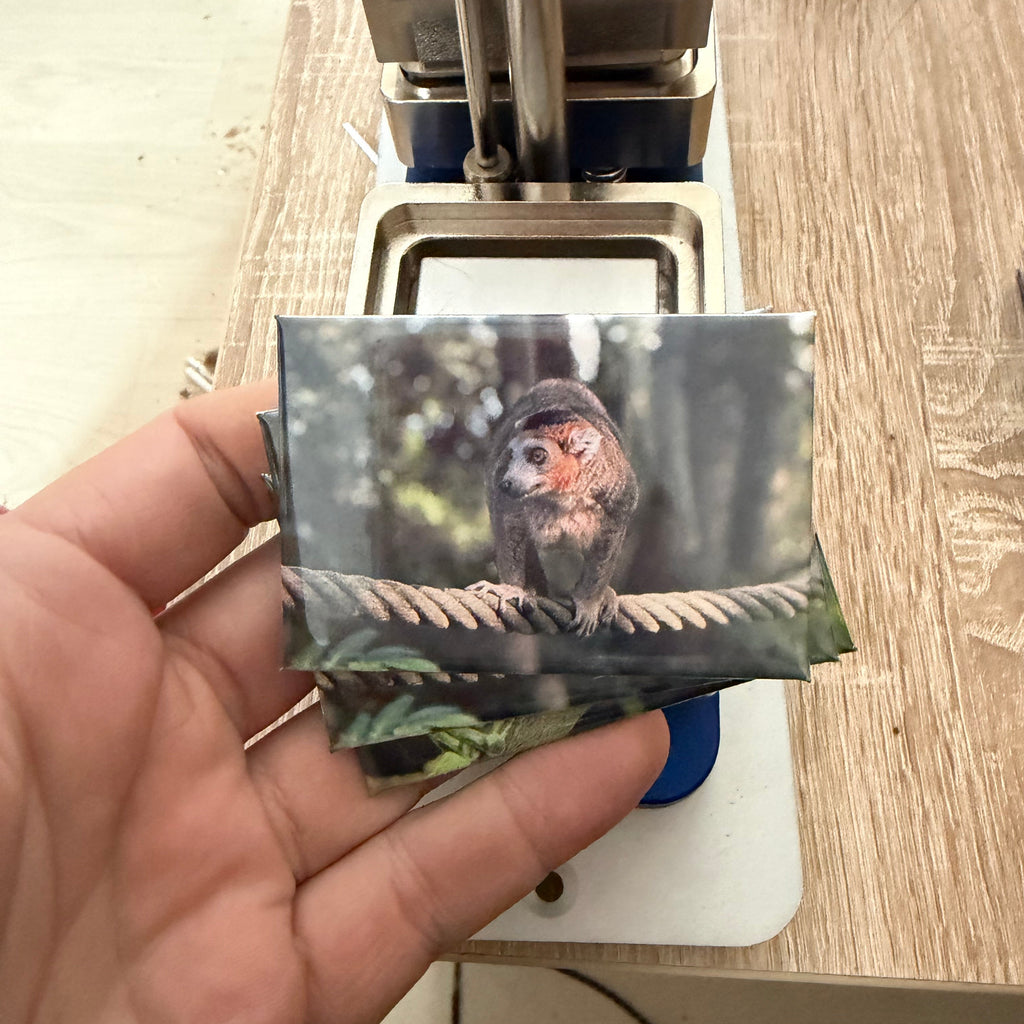 ‘Crowned Lemur’ magnet Preview
