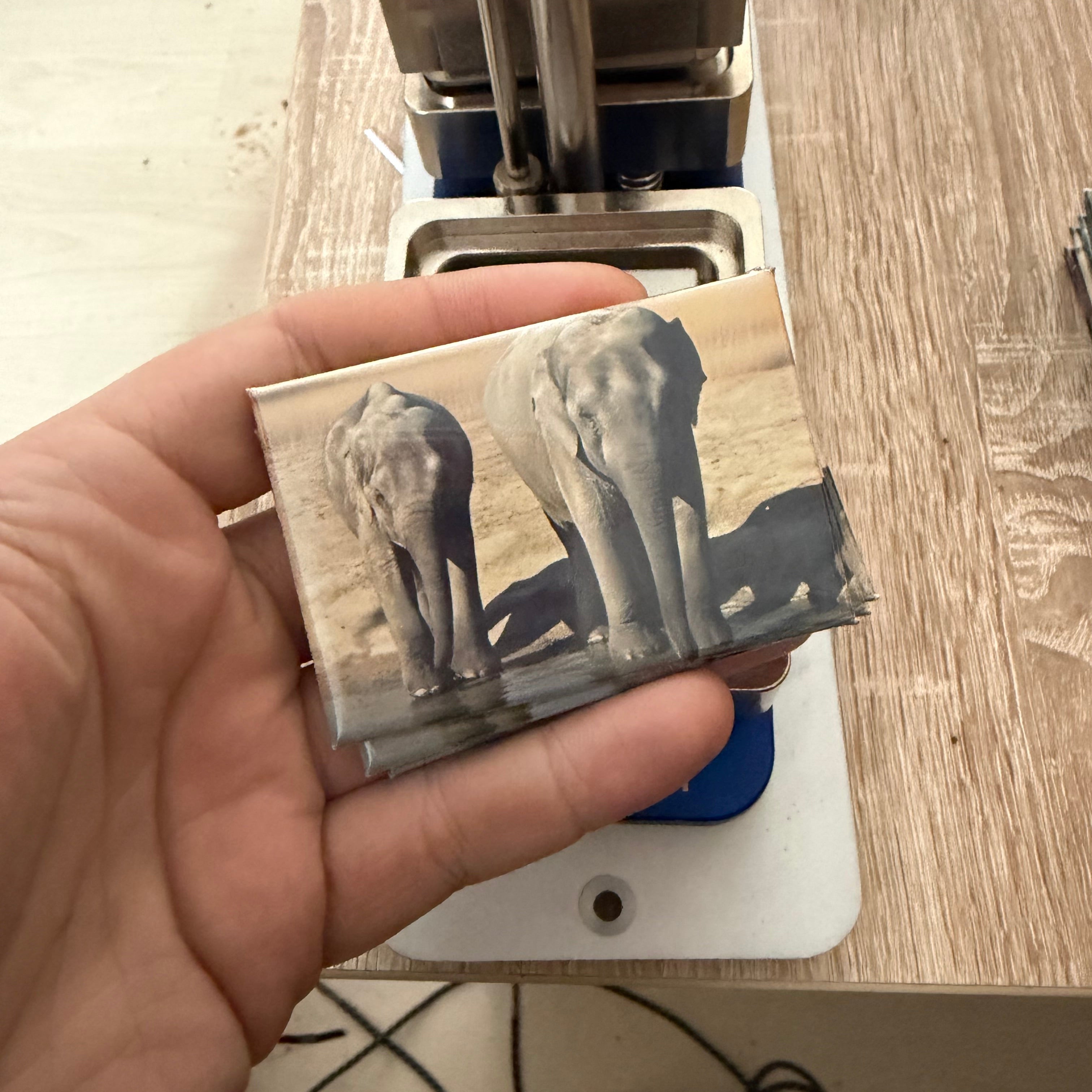 ‘Elephant’ magnet preview