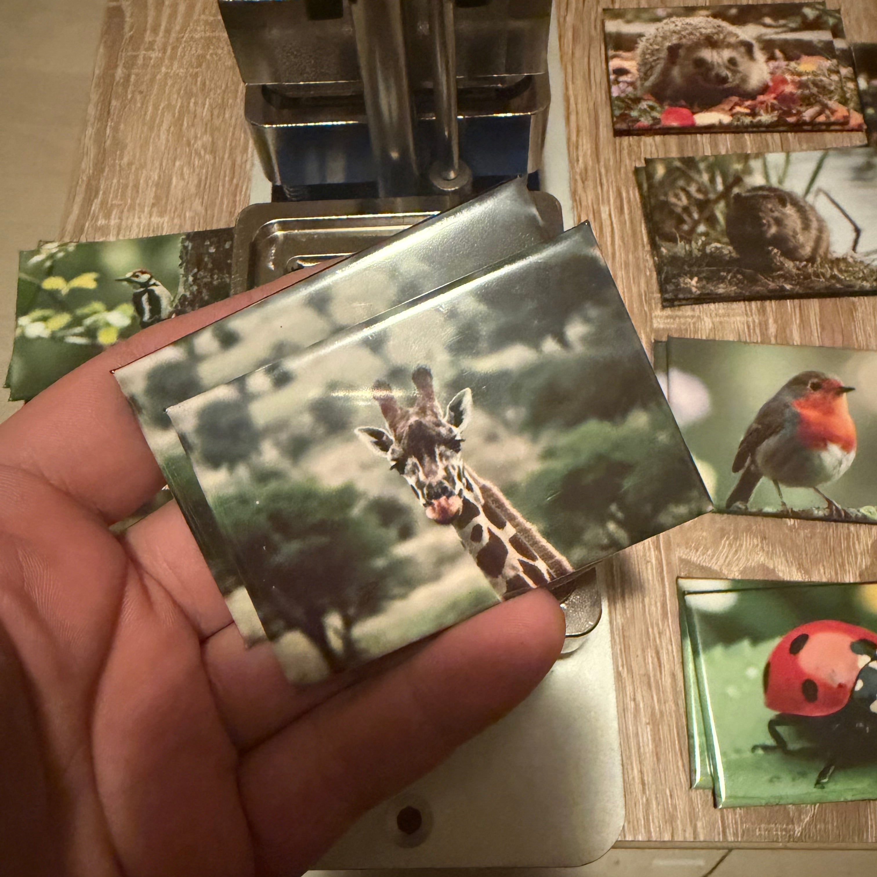 Giraffe magnet Preview