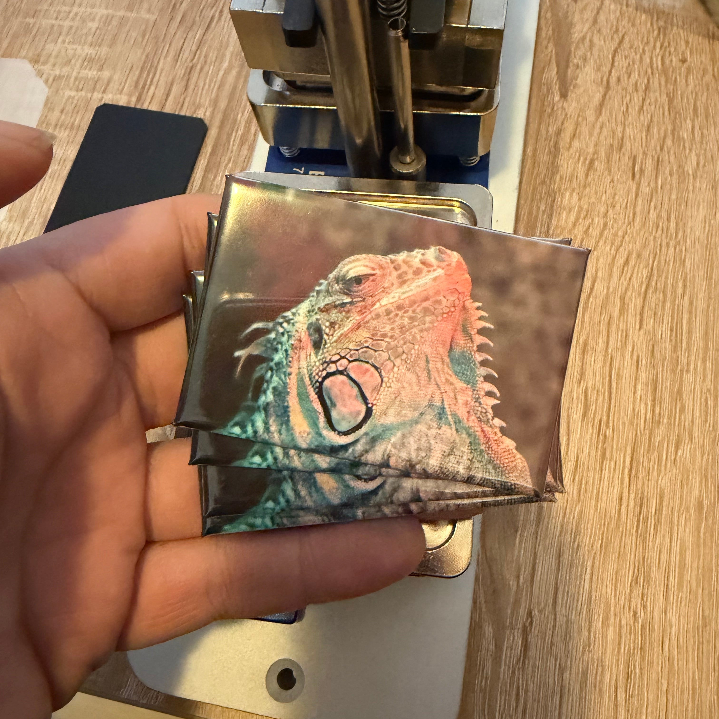 ‘Green Iguana’ magnet preview