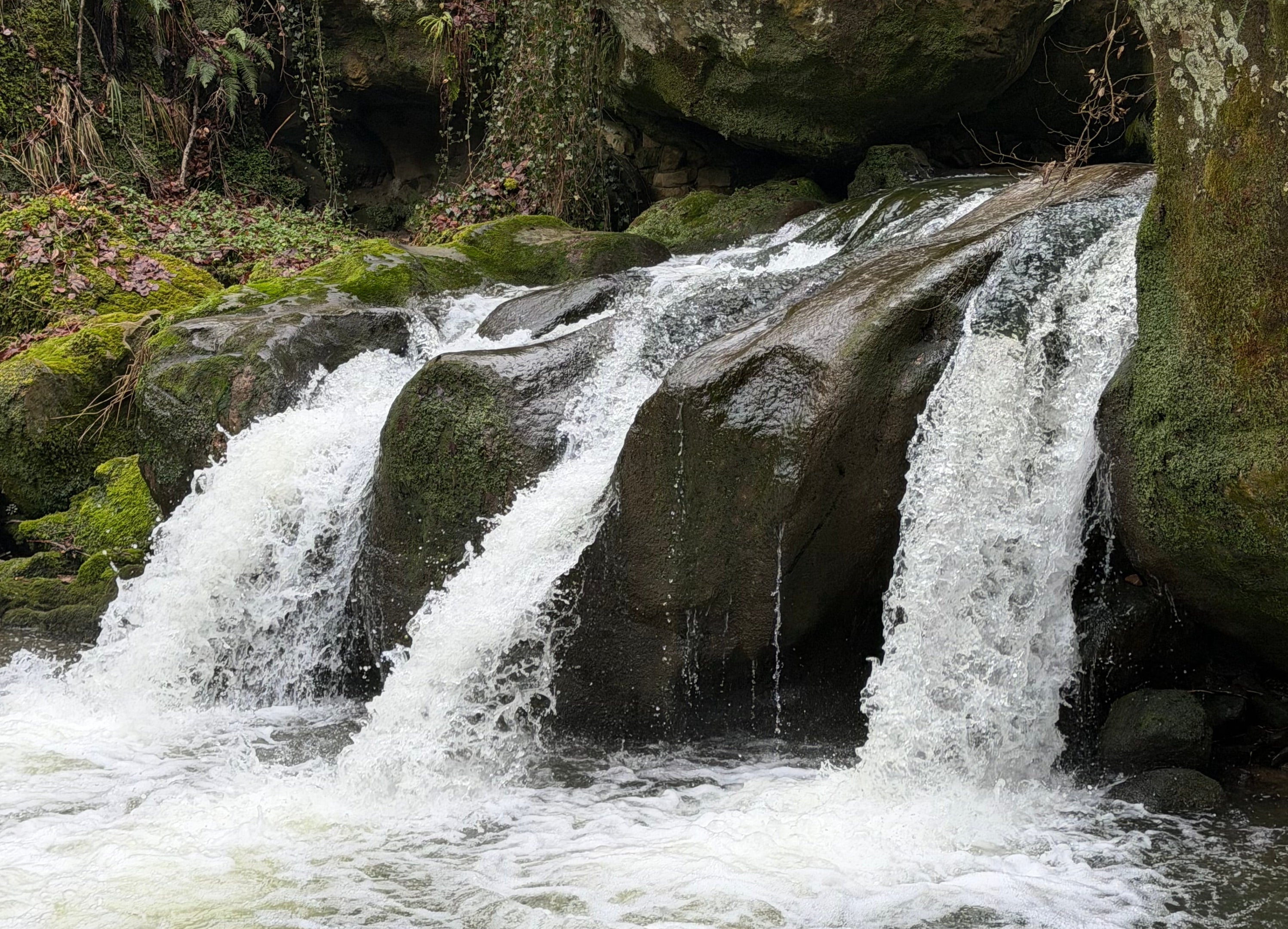 Luxembuorg Mullerthal Waterfall magnet