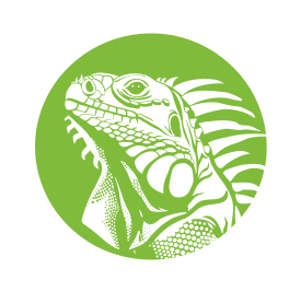 Wildlifemagnet Logo Icon